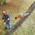 Tree service